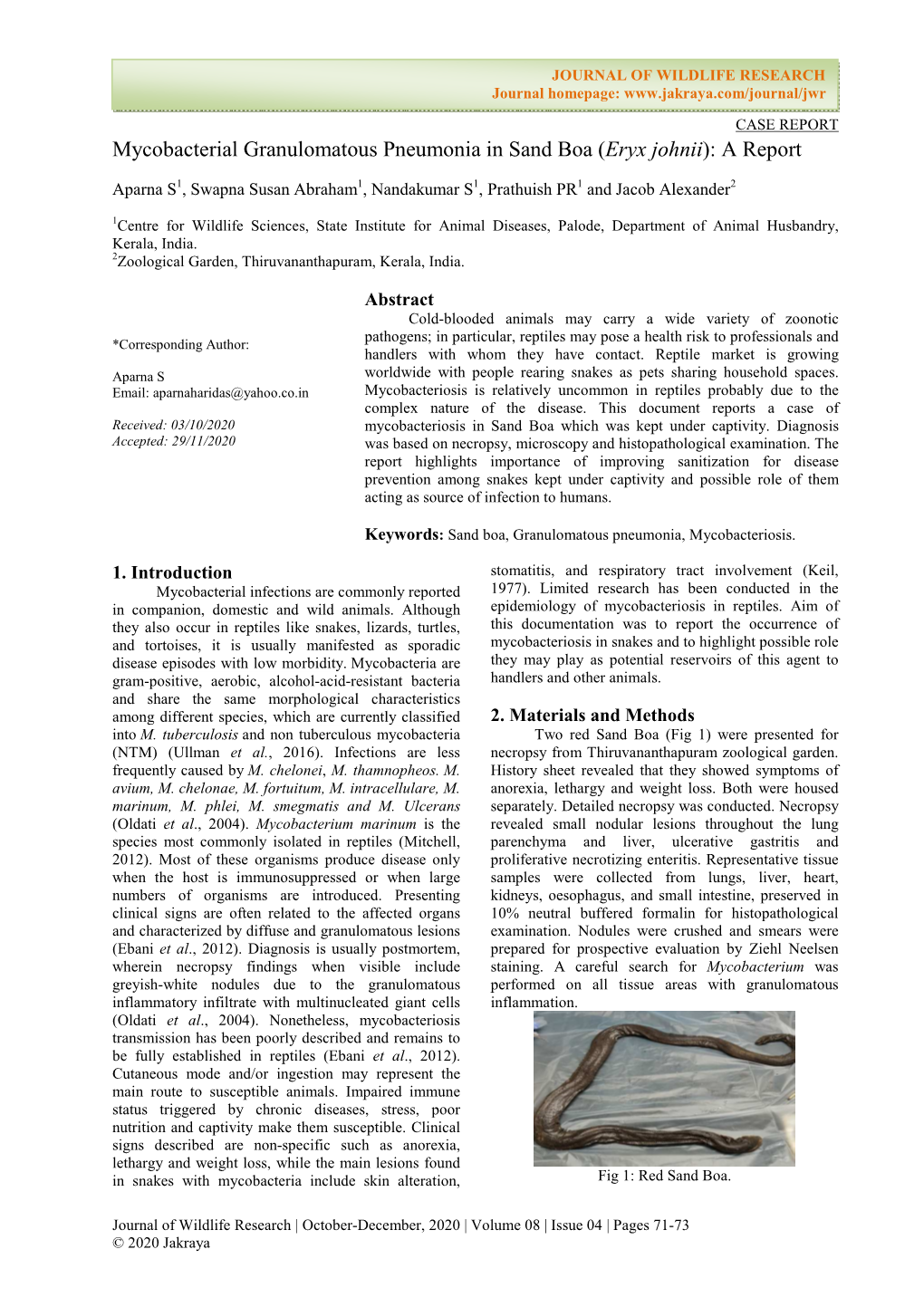 Mycobacterial Granulomatous Pneumonia in Sand Boa (Eryx Johnii): a Report