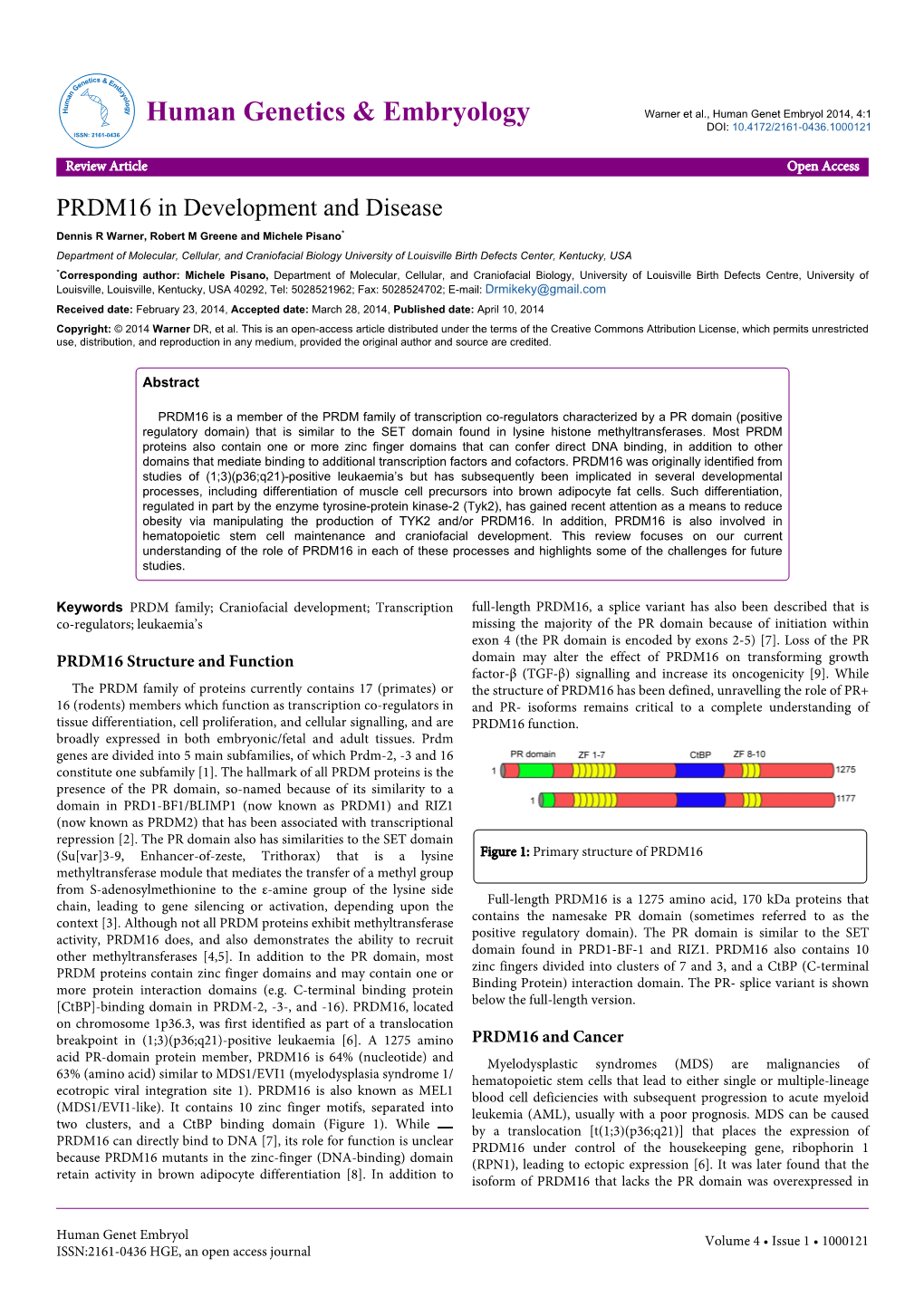 PRDM16 in Development and Disease