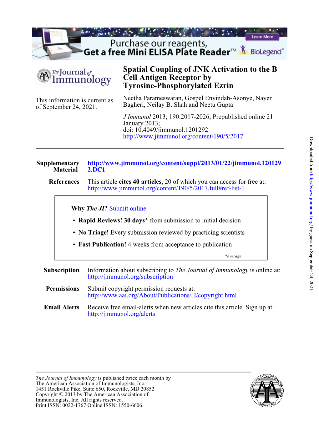 Tyrosine-Phosphorylated Ezrin Cell Antigen Receptor by Spatial Coupling of JNK Activation to the B