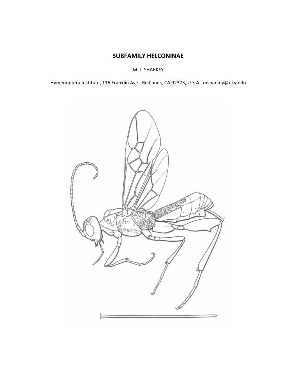 Subfamily Helconinae