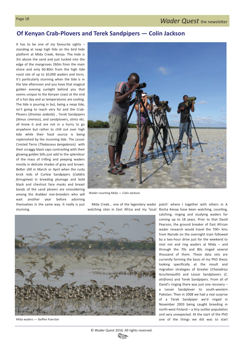 Of Kenyan Crab-Plovers and Terek Sandpipers — Colin Jackson