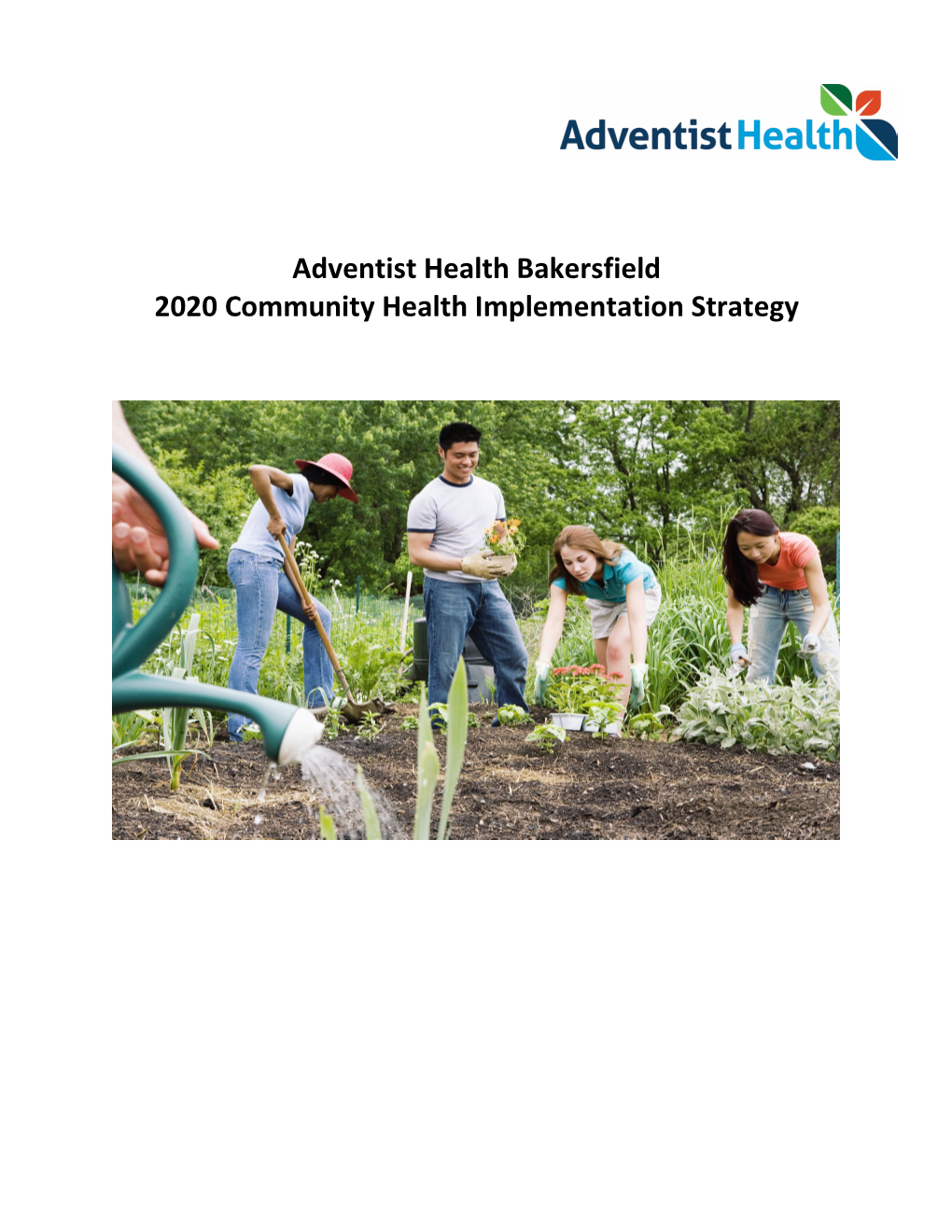 2020 Community Health Implementation Strategy