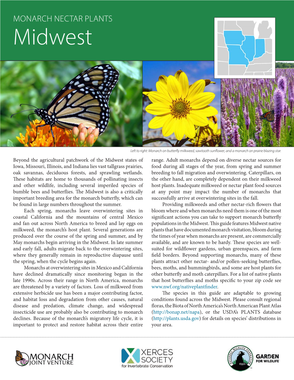 MONARCH NECTAR PLANTS Midwest