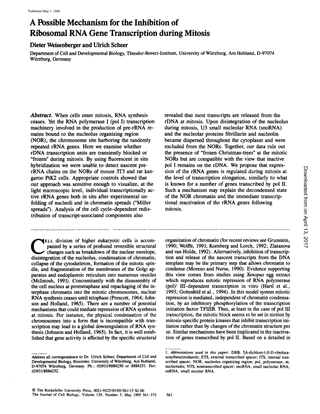 A Possible Mechanism for the Inhibition of Ribosomal RNA Gene