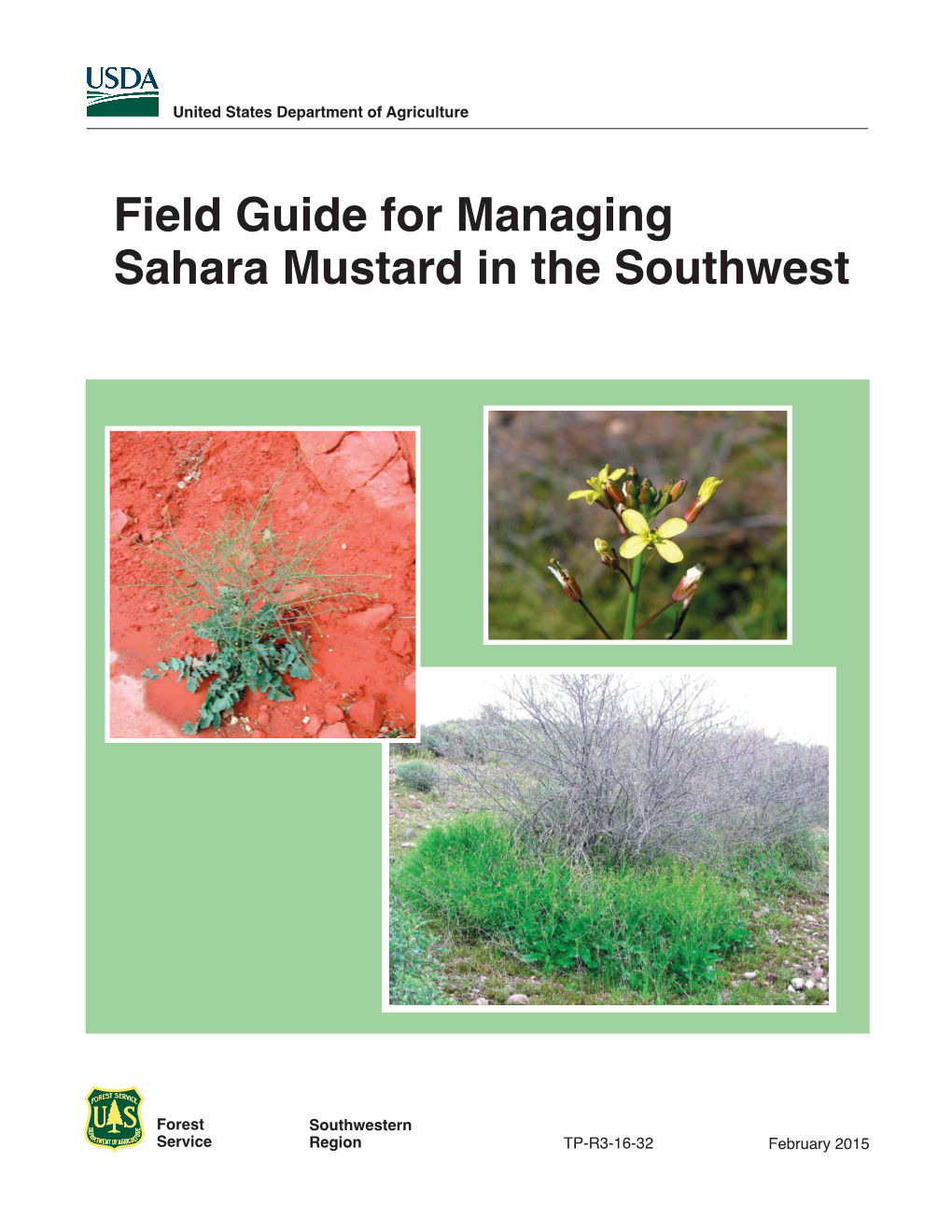 Sahara Mustard in the Southwest