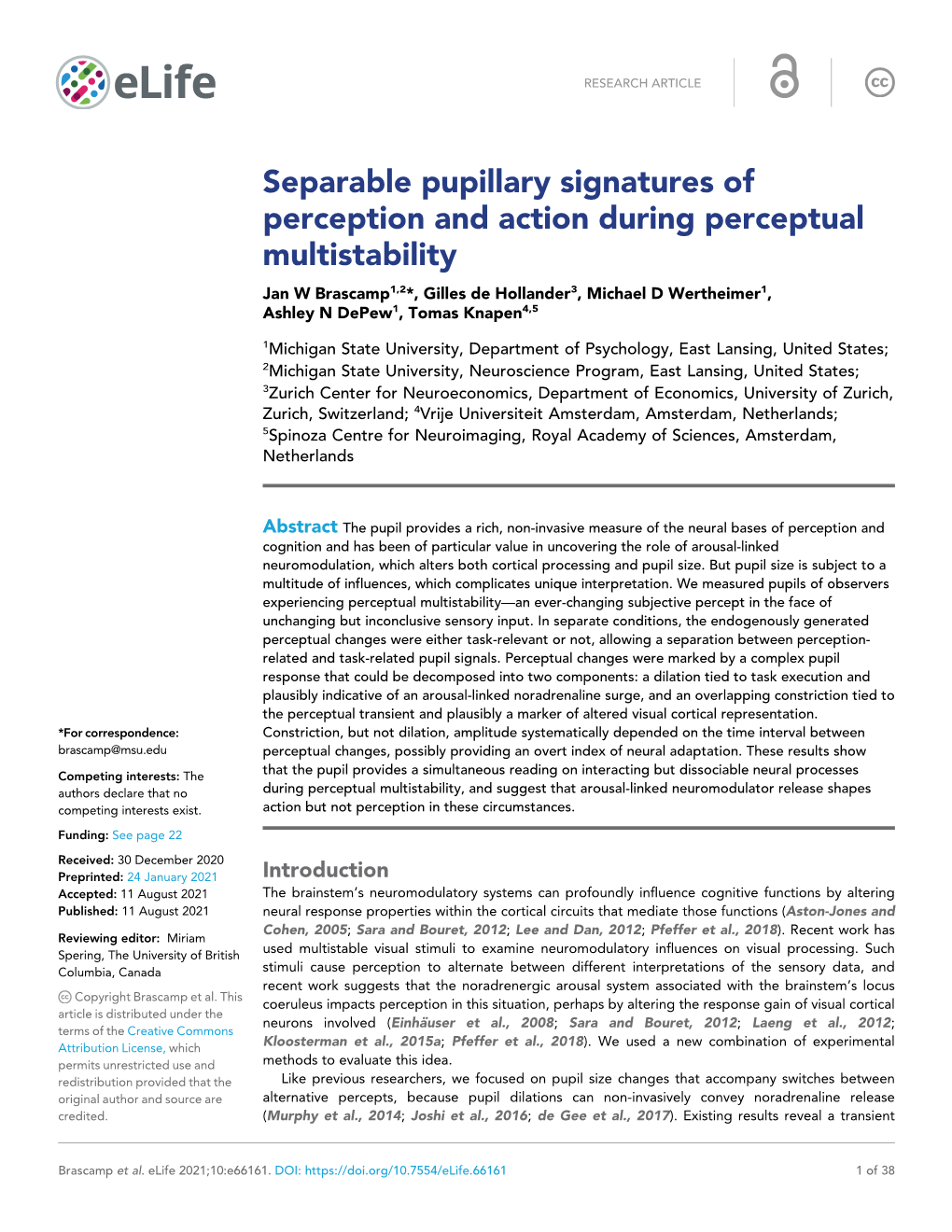 Separable Pupillary Signatures of Perception and Action During