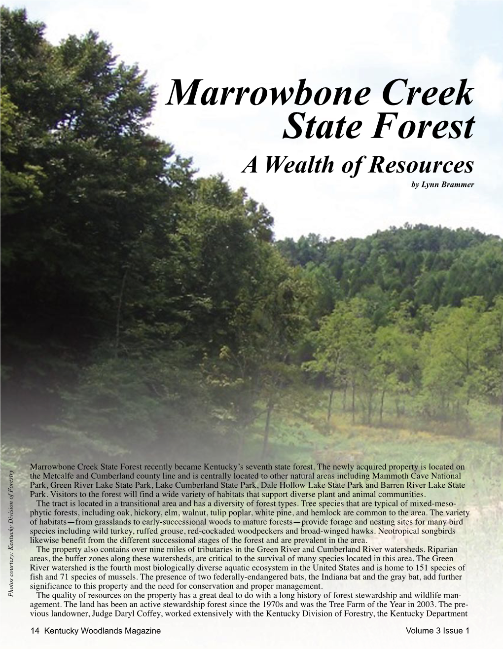 Marrowbone Creek State Forest a Wealth of Resources by Lynn Brammer