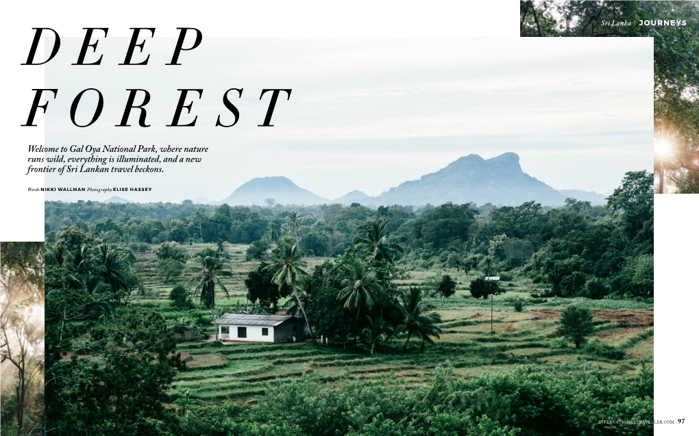 Gal Oya National Park, Where Nature Runs Wild, Everything Is Illuminated, and a New Frontier of Sri Lankan Travel Beckons