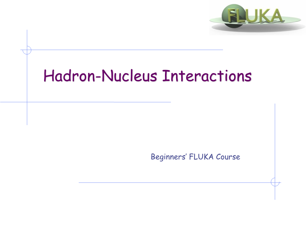 Hadron-Nucleus Interactions