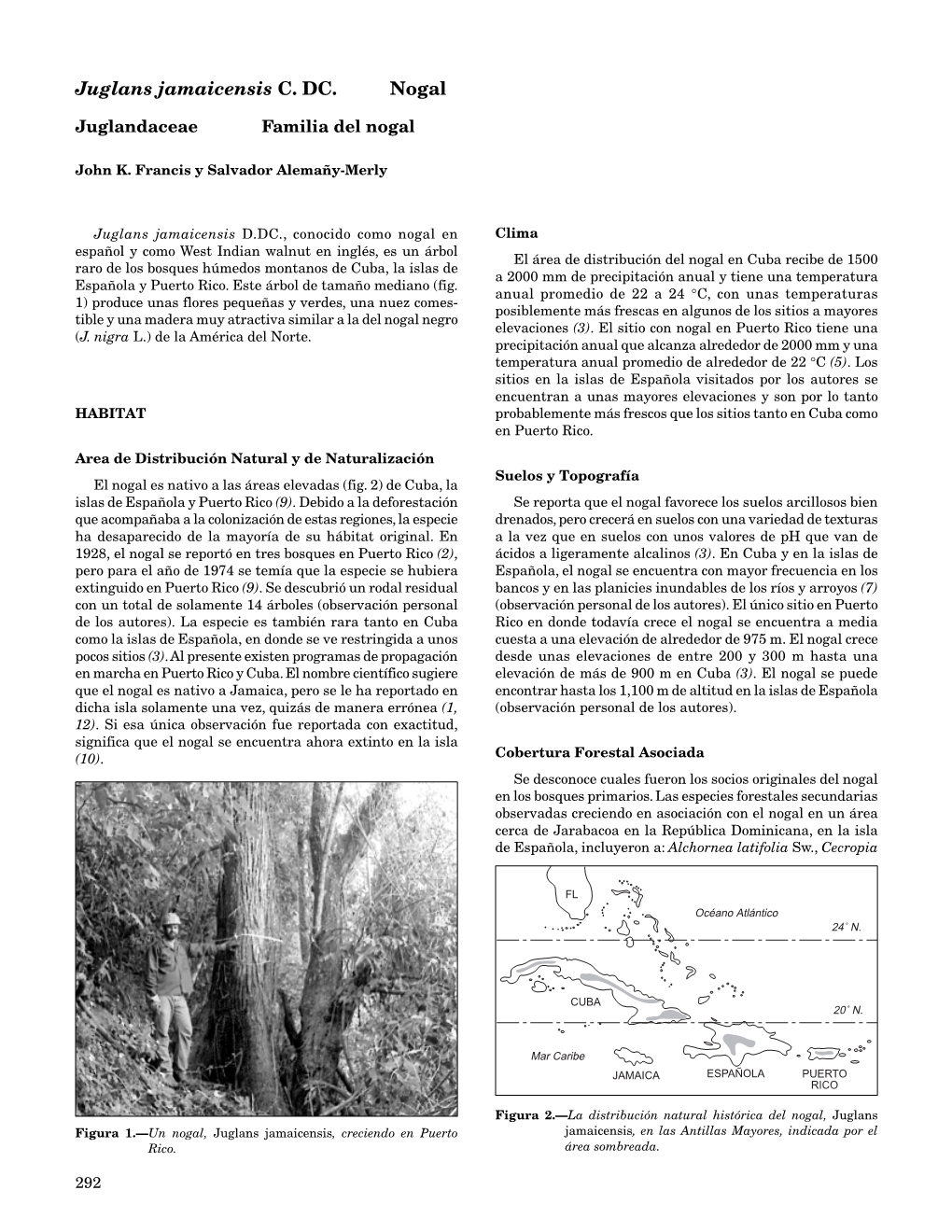 Juglans Jamaicensis 73