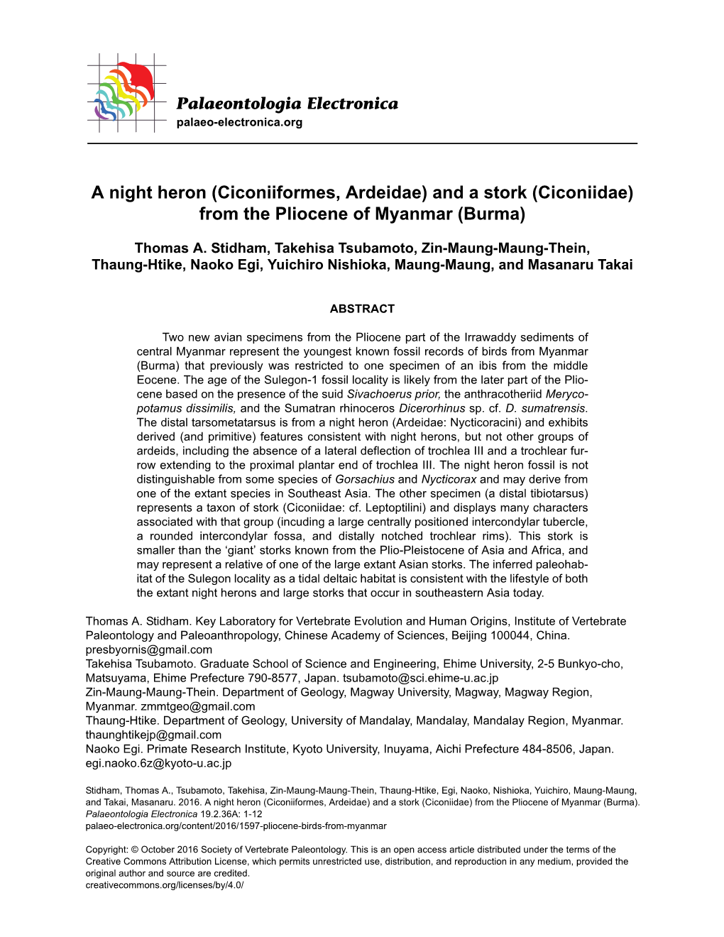 Ciconiiformes, Ardeidae) and a Stork (Ciconiidae) from the Pliocene of Myanmar (Burma