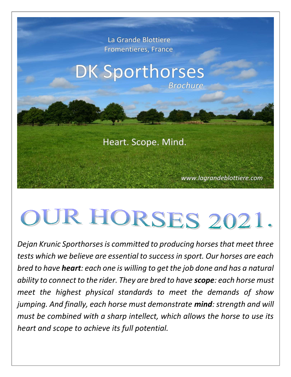 Dejan Krunic Sporthorses Is Committed to Producing Horses That Meet Three Tests Which We Believe Are Essential to Success in Sport