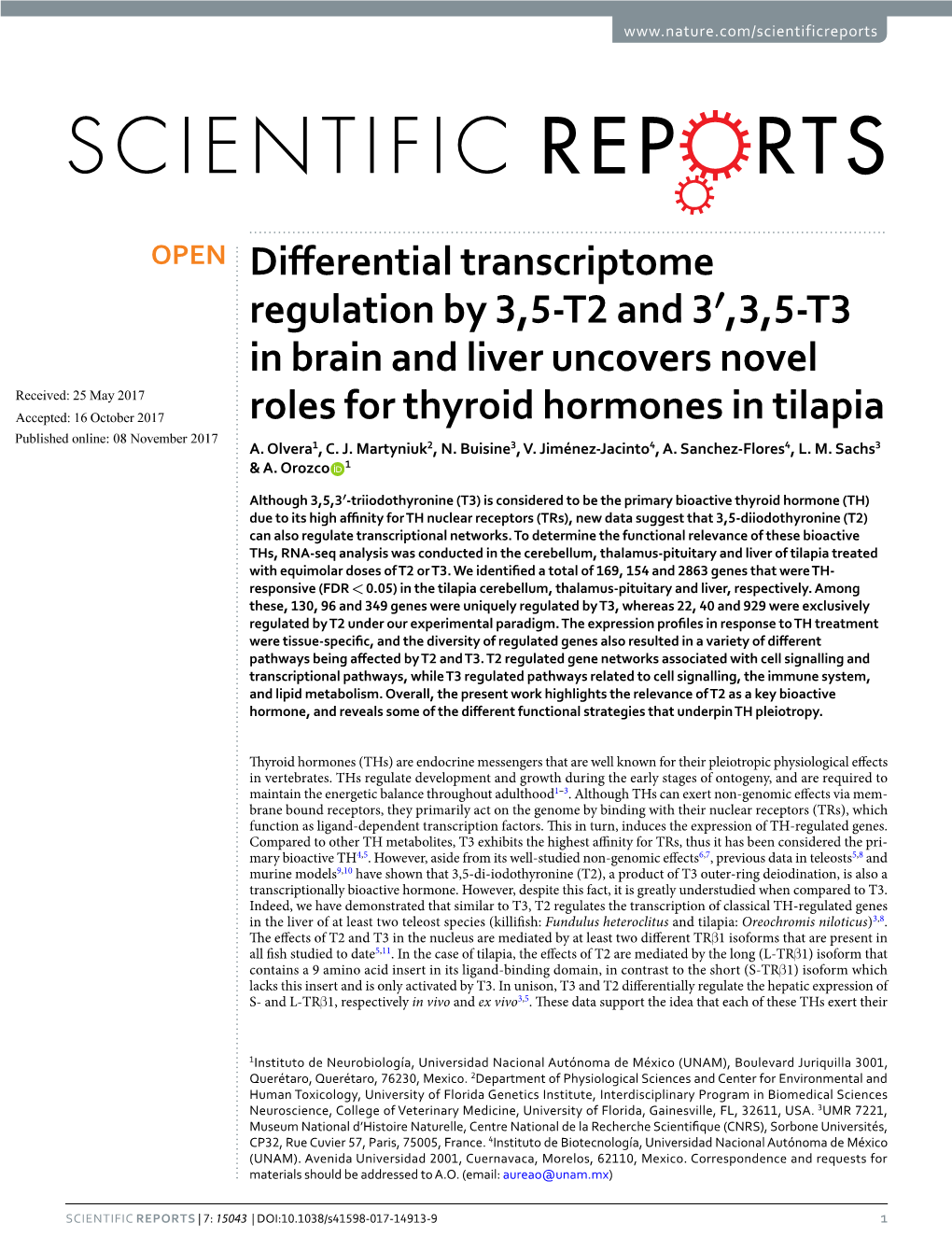 3,5-T3 in Brain and Liver Uncovers Novel Roles for Thyroid