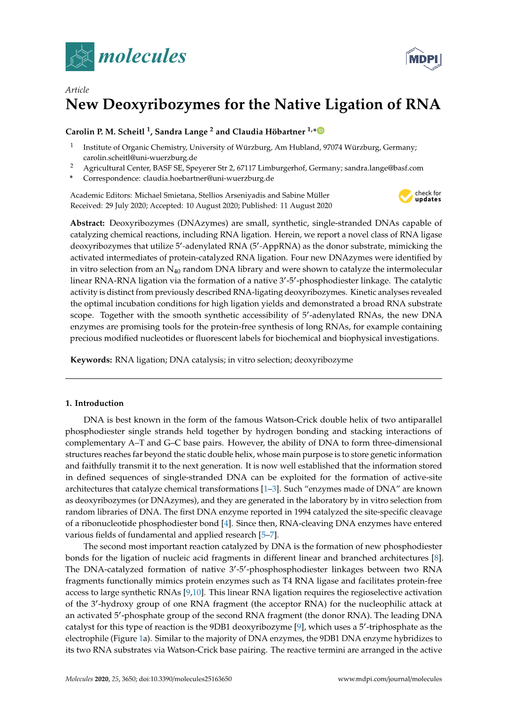 New Deoxyribozymes for the Native Ligation of RNA