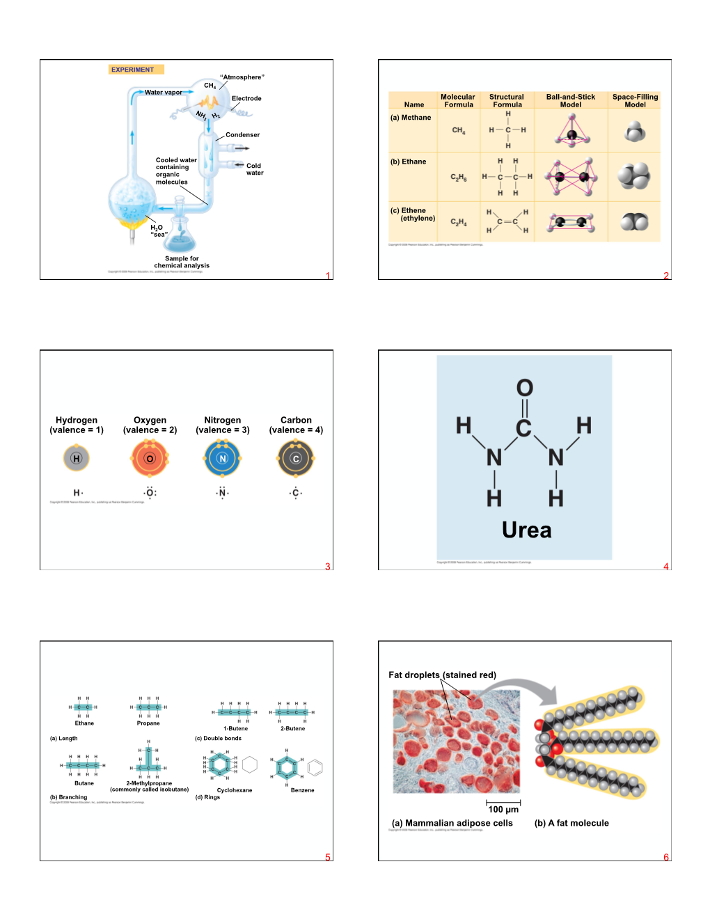 Ch.04Carbon and the Molecular Diversity of Life