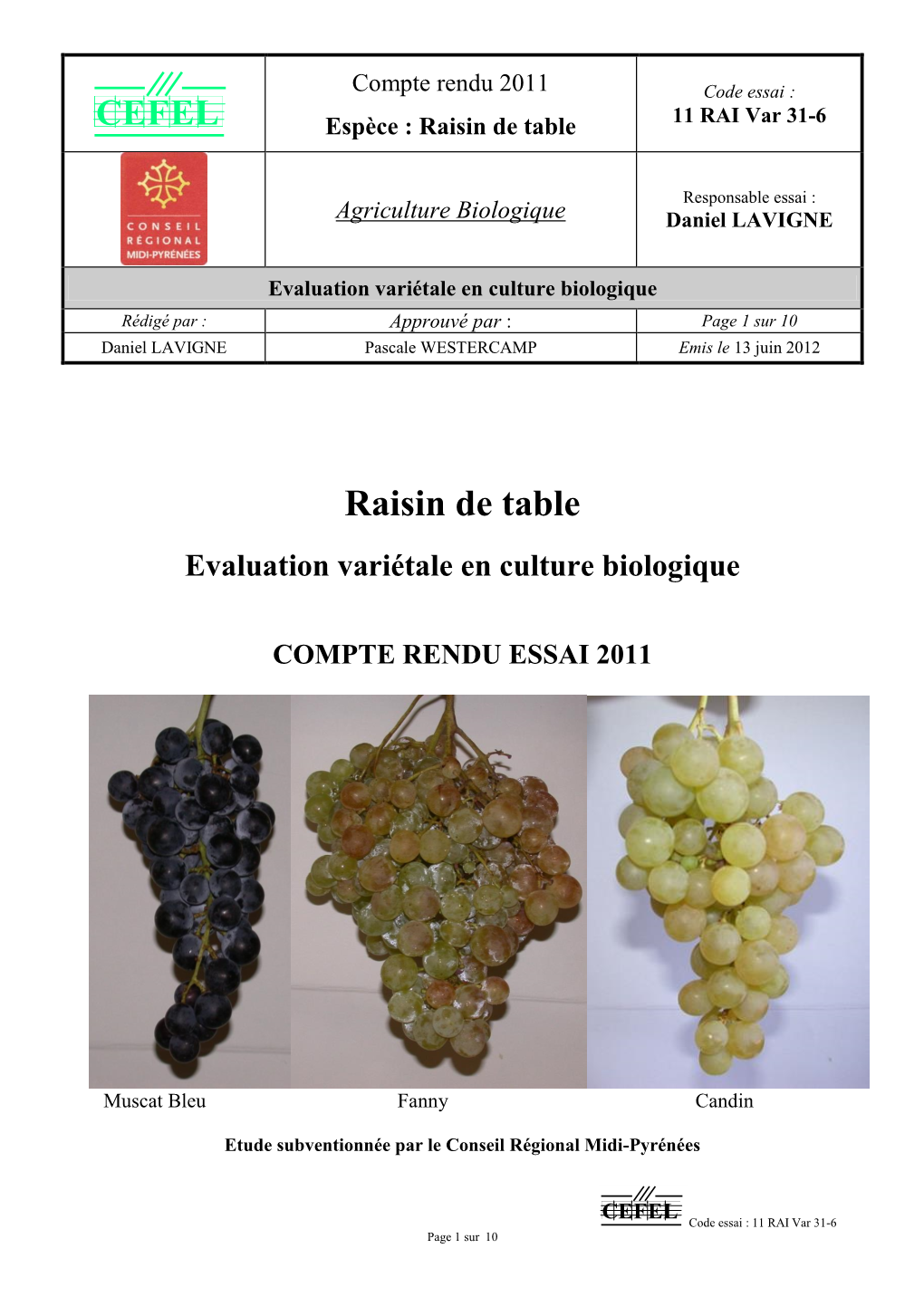 Raisin De Table