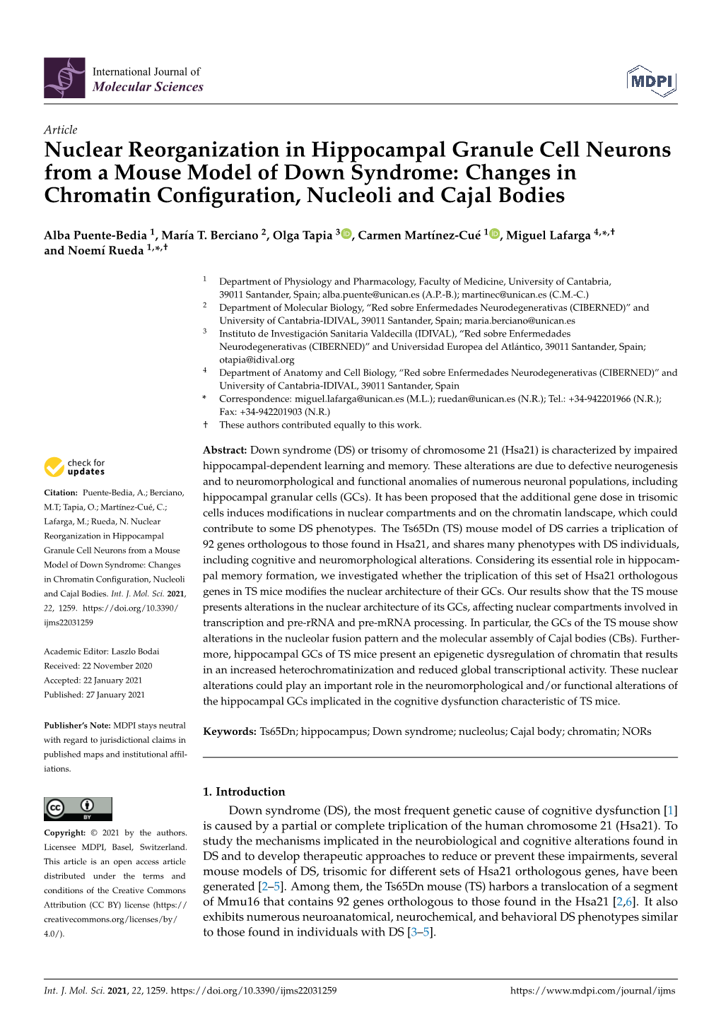 Nuclear Reorganization in Hippocampal Granule Cell Neurons from a Mouse Model of Down Syndrome: Changes in Chromatin Conﬁguration, Nucleoli and Cajal Bodies