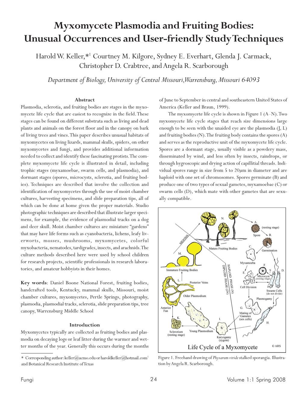 Myxomycete Plasmodia and Fruiting Bodies: Unusual Occurrences and User-Friendly Study Techniques Harold W