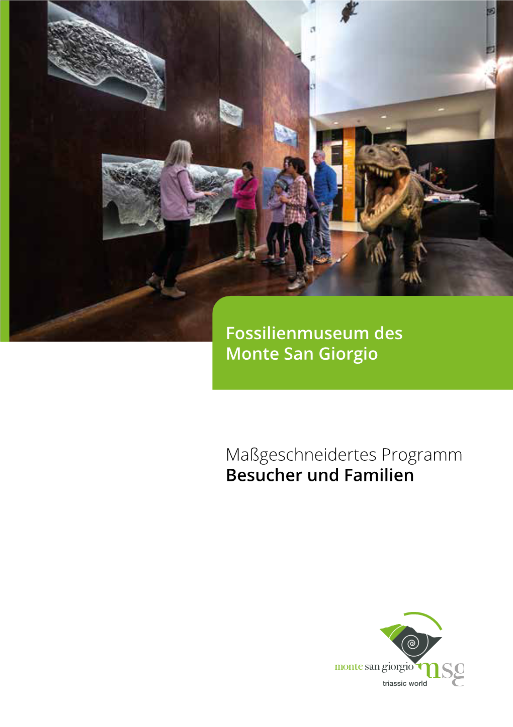 Fossilienmuseum Des Monte San Giorgio Maßgeschneidertes