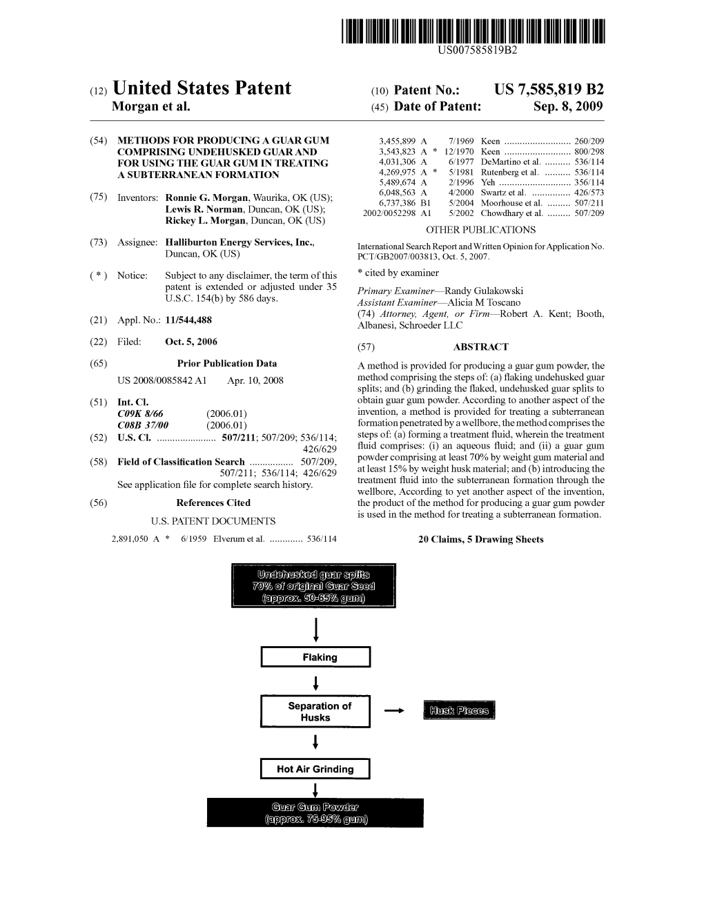 (12) United States Patent (10) Patent No.: US 7,585,819 B2 Morgan Et Al