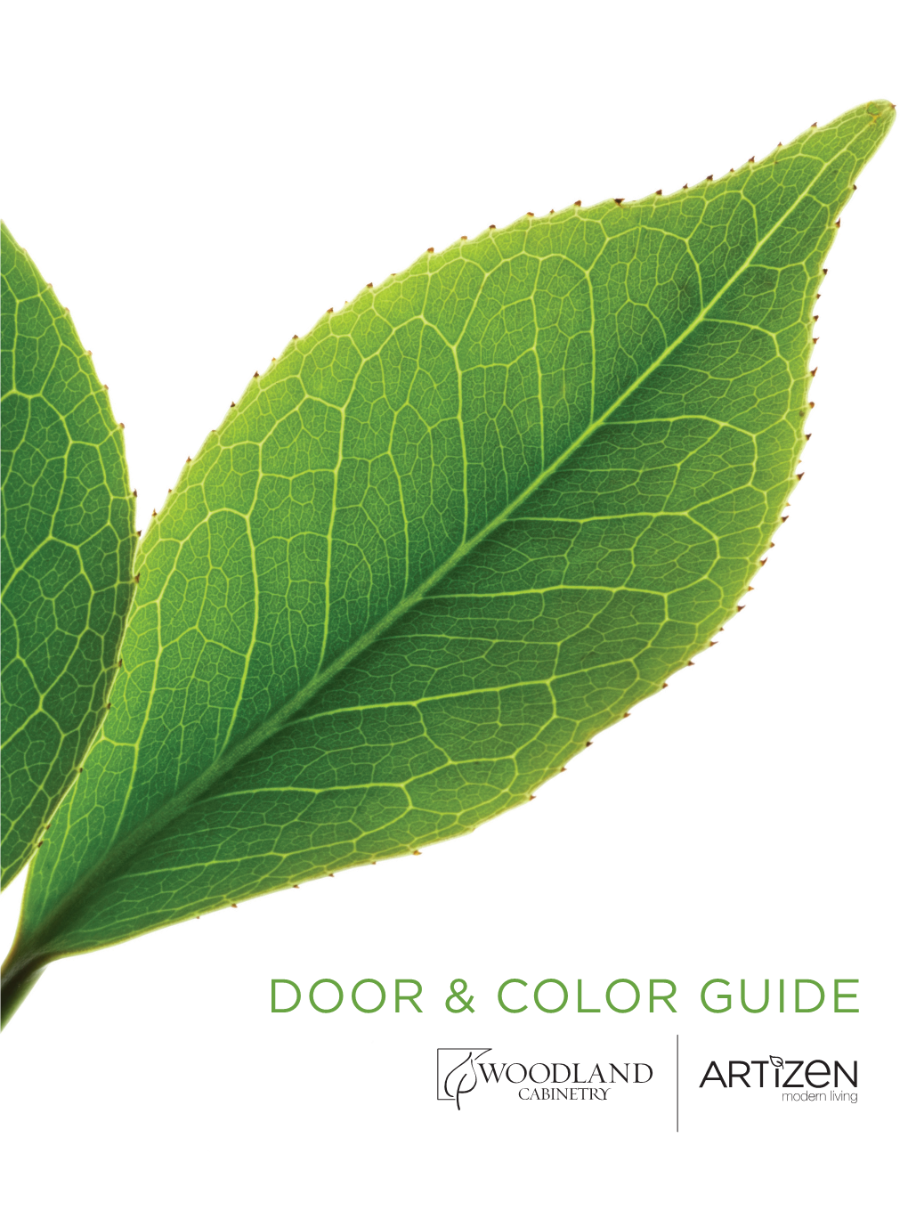 Door & Color Guide