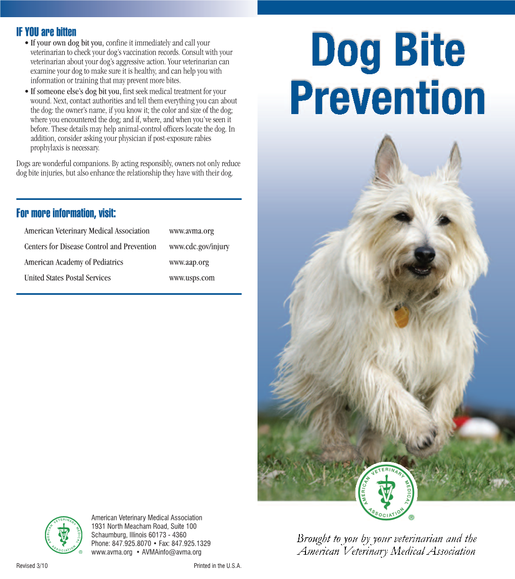 Dog Bite Brochure