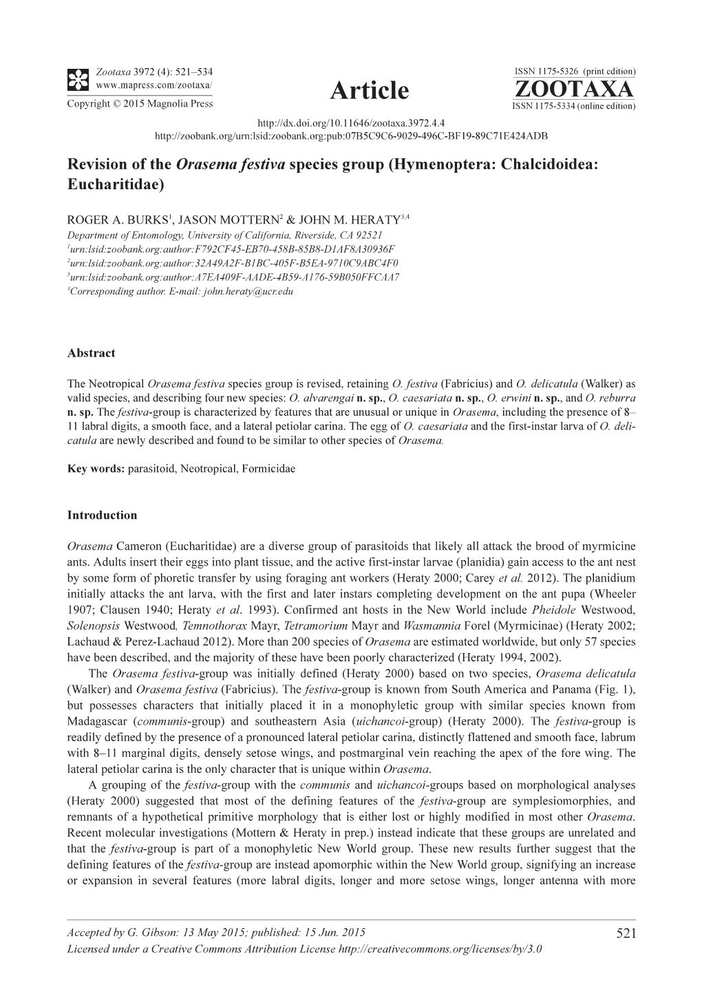 Revision of the Orasema Festiva Species Group (Hymenoptera: Chalcidoidea: Eucharitidae)