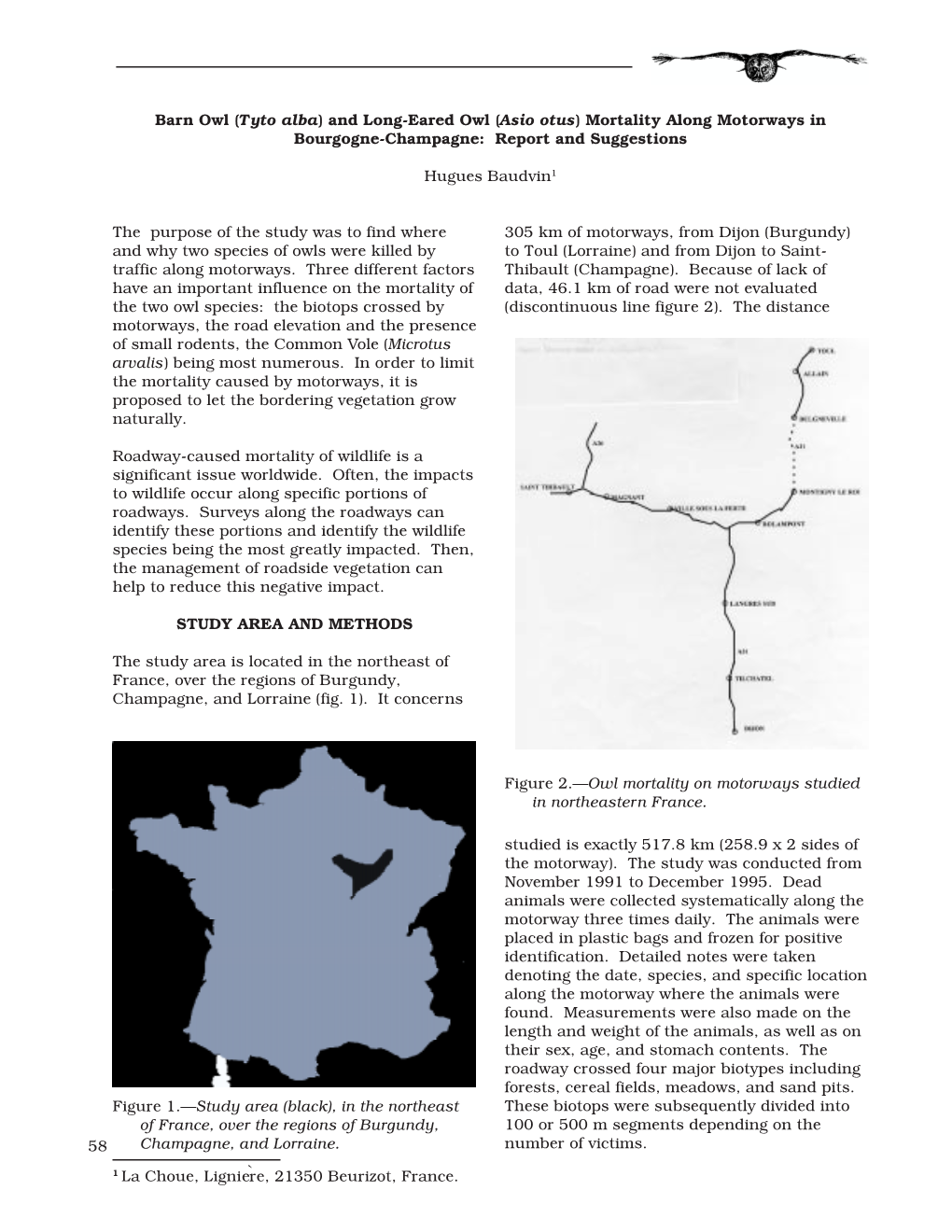 (Tyto Alba) and Long-Eared Owl (Asio Otus) Mortality Along Motorways in Bourgogne-Champagne: Report and Suggestions