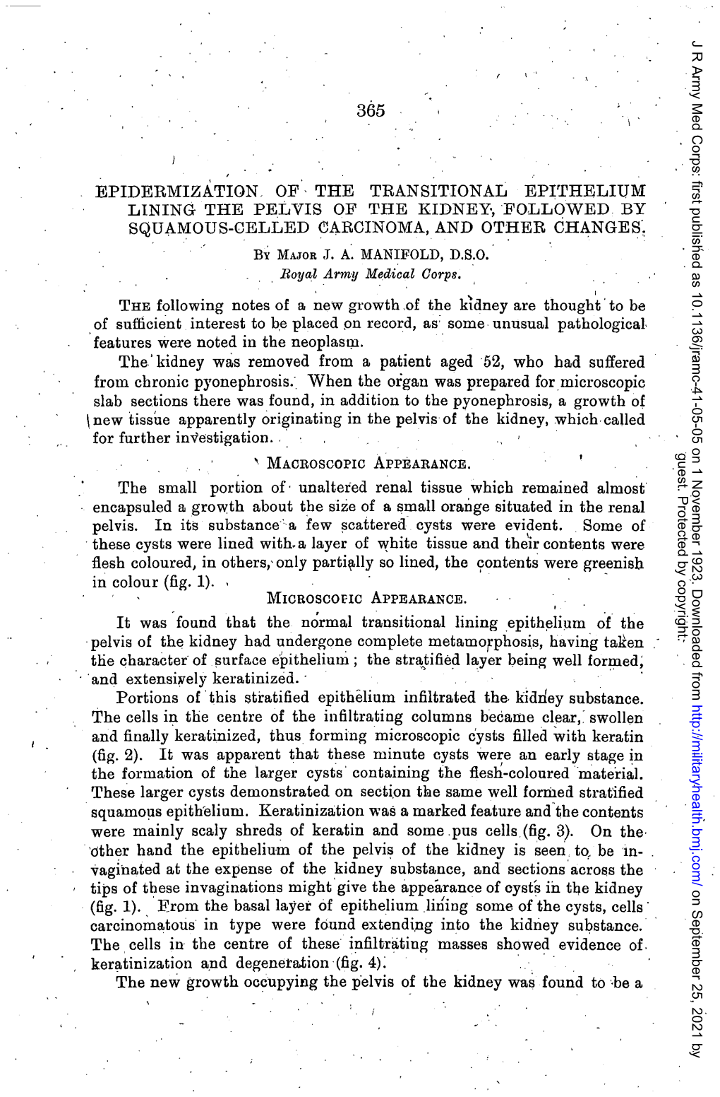 EPIDERMIZATION, OF, the TRANSITIONAL EPITHELIUM LINING the PELVIS of the KIDNEY·, FOLLOWED by SQUAMOUS-CELLED 0ARCINOMA,AND OT~ER CHANGES'~ by MAJOR J