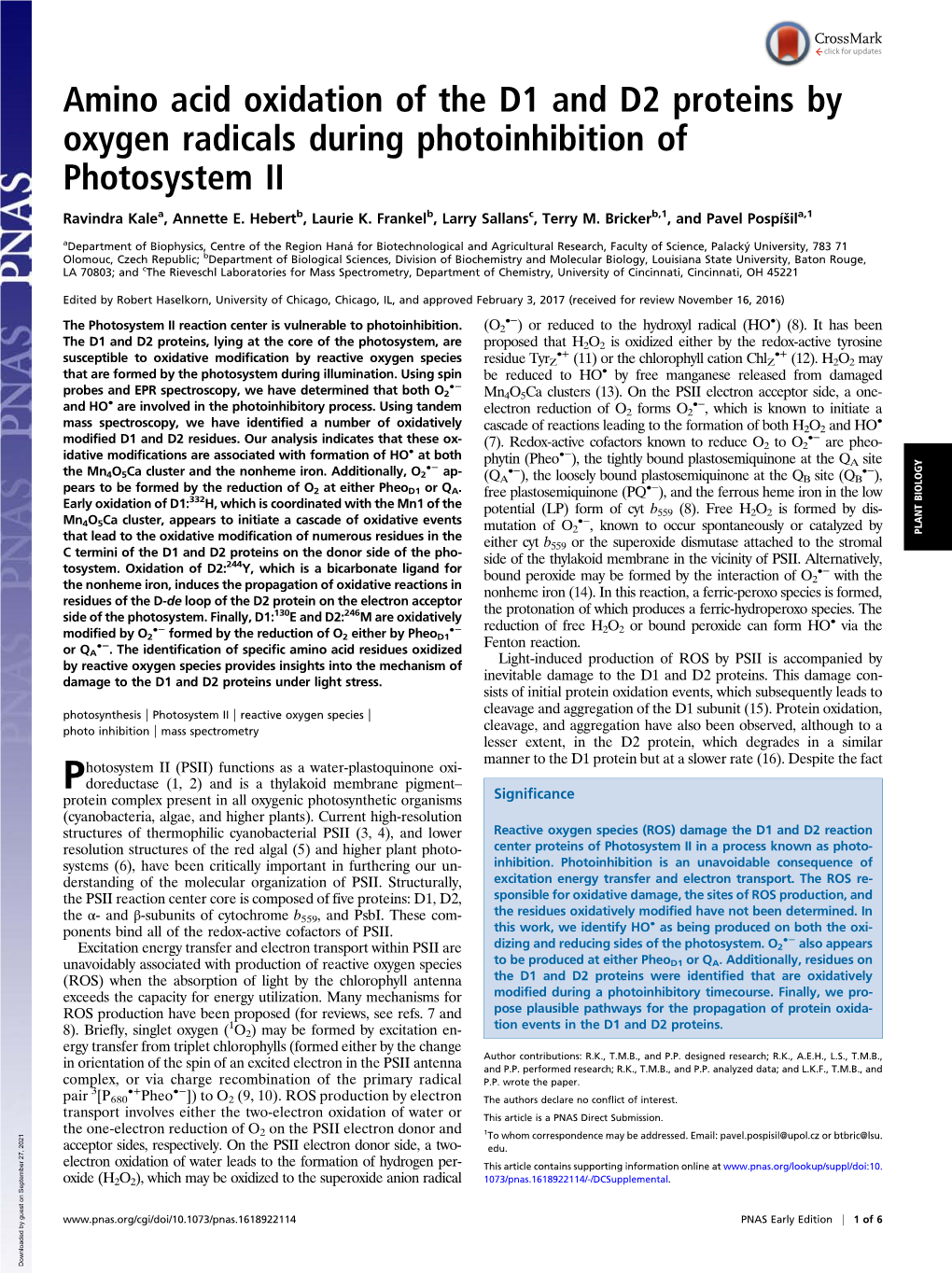 Amino Acid Oxidation of the D1 and D2 Proteins by Oxygen Radicals During Photoinhibition of Photosystem II