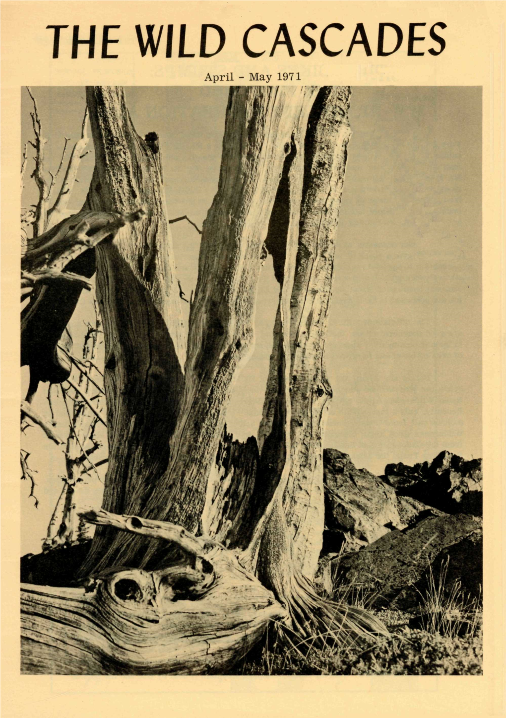 THE WILD CASCADES April - May 1971 2 the WILD CASCADES TRAILBIKES and STUMPS: the PROPOSED MT