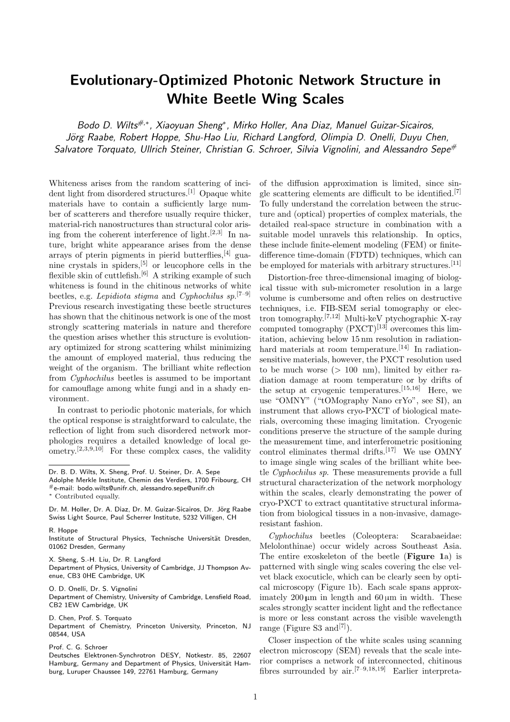 Evolutionary-Optimized Photonic Network Structure in White Beetle Wing Scales