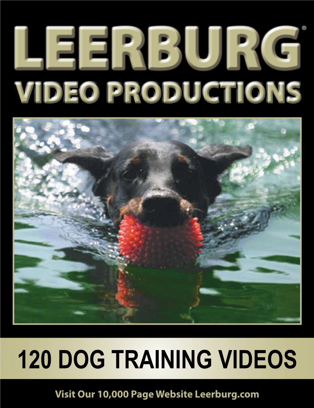 120 Dog Training Videos