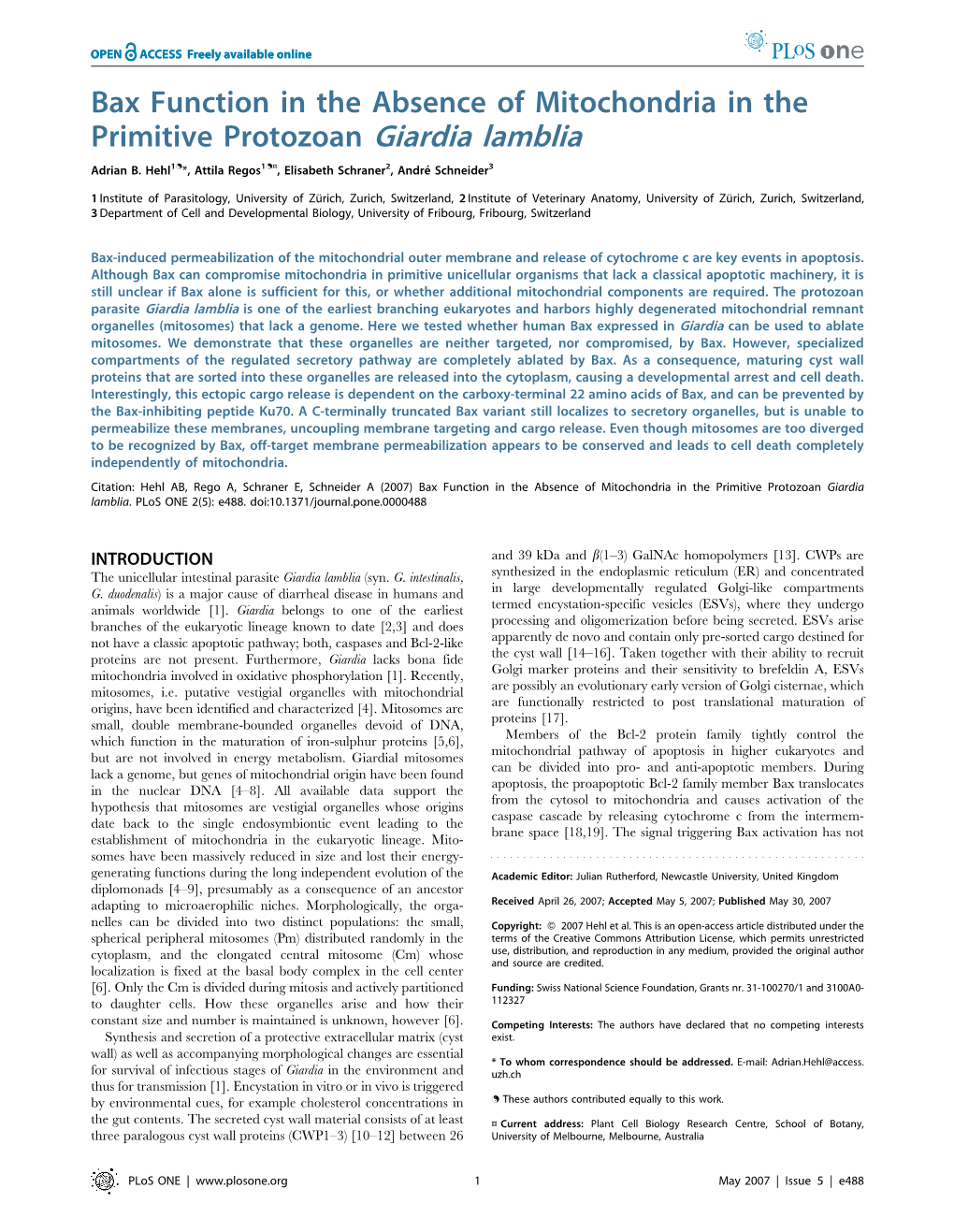 Bax Function in the Absence of Mitochondria in the Primitive Protozoan Giardia Lamblia Adrian B