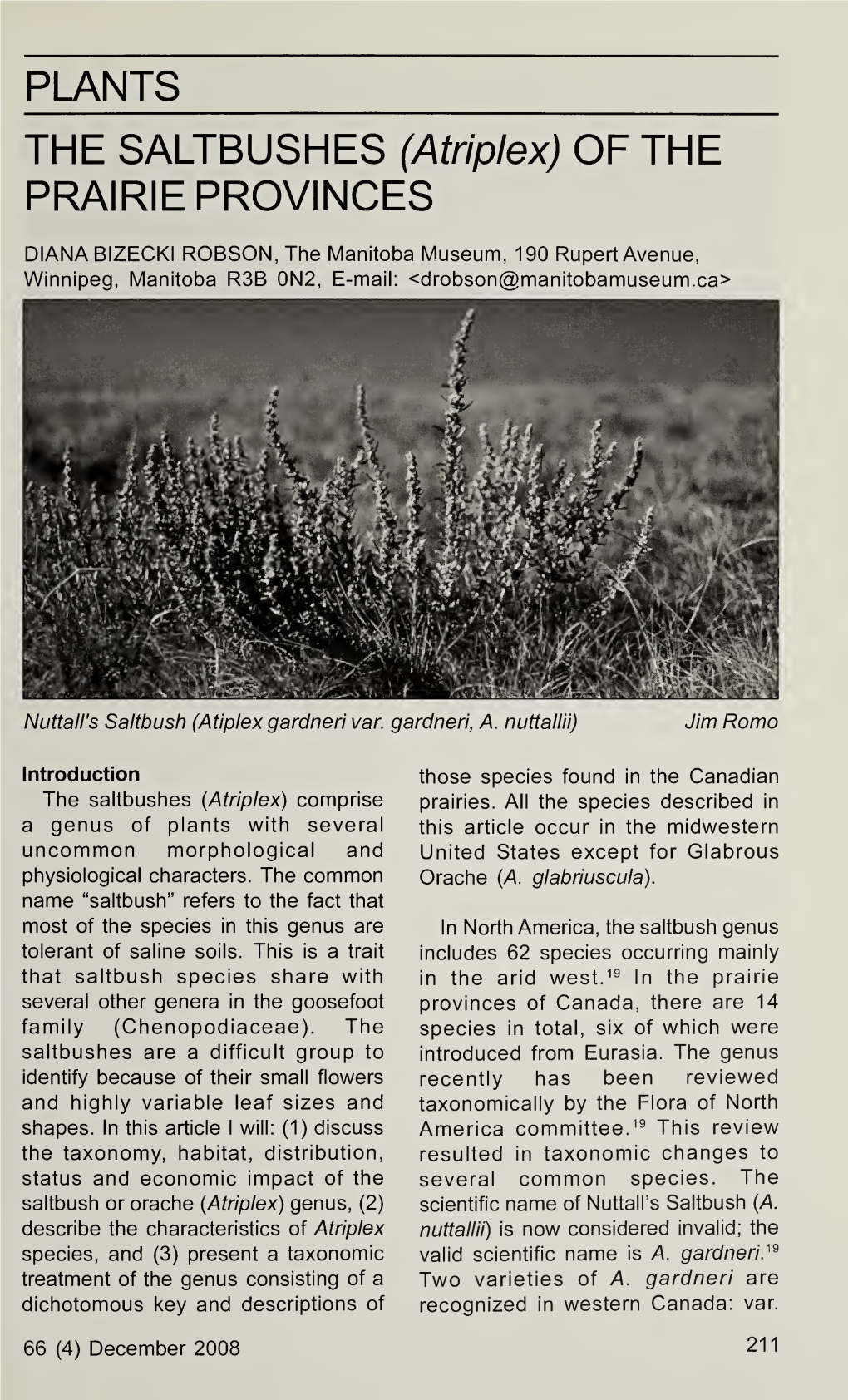 PLANTS the SALTBUSHES (Atriplex) of the PRAIRIE PROVINCES