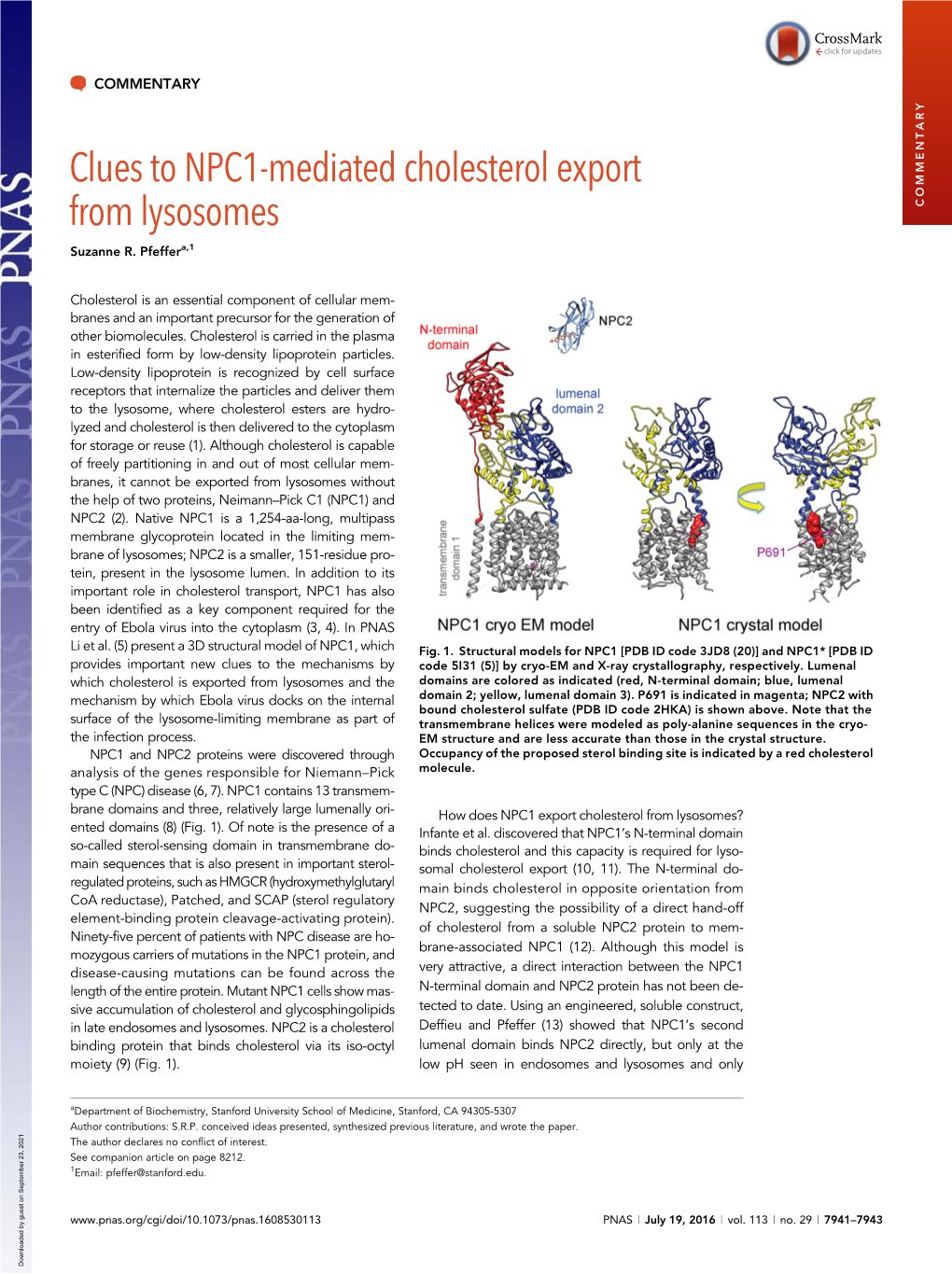 Clues to NPC1-Mediated Cholesterol Export from Lysosomes