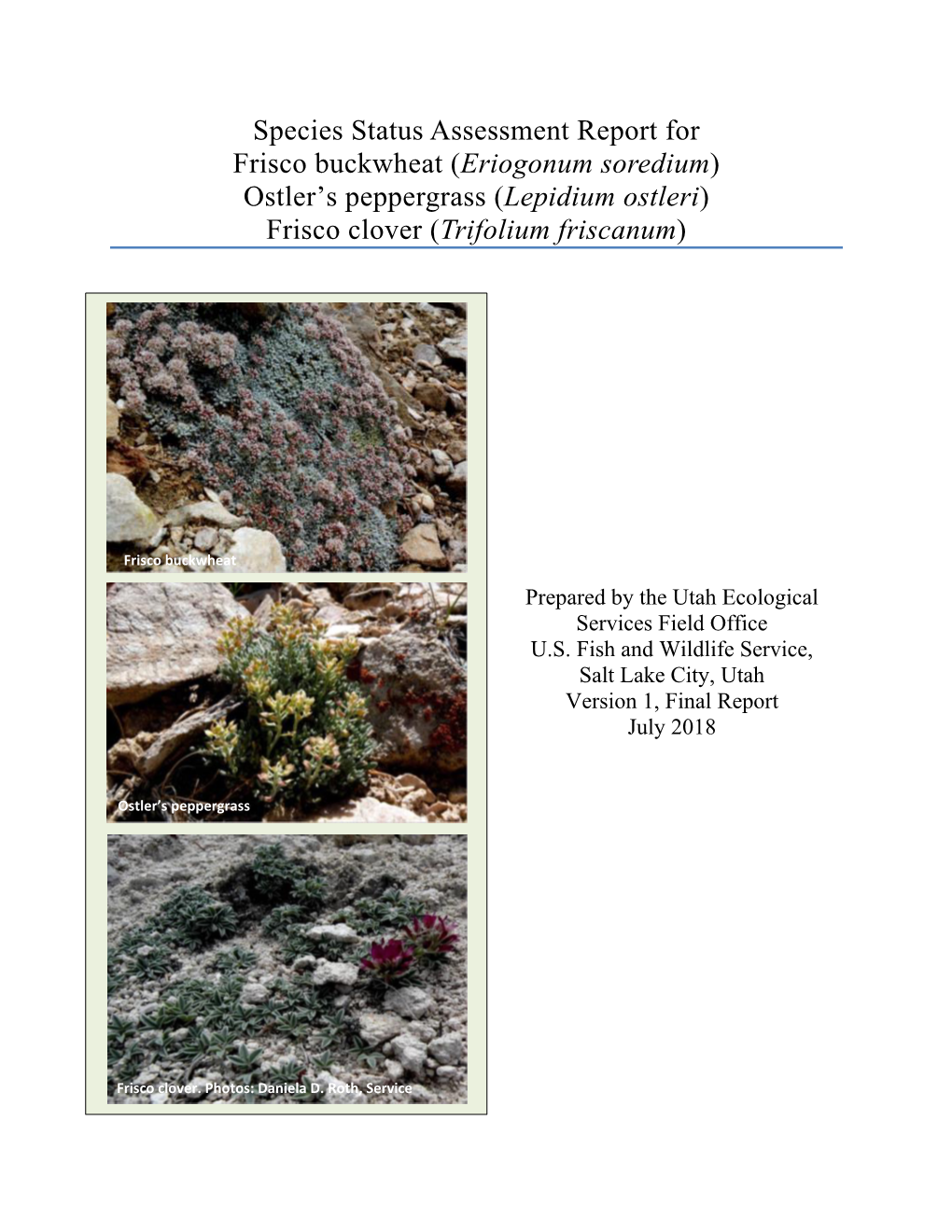 Species Status Assessment Report for Frisco Buckwheat (Eriogonum Soredium) Ostler’S Peppergrass (Lepidium Ostleri) Frisco Clover (Trifolium Friscanum)