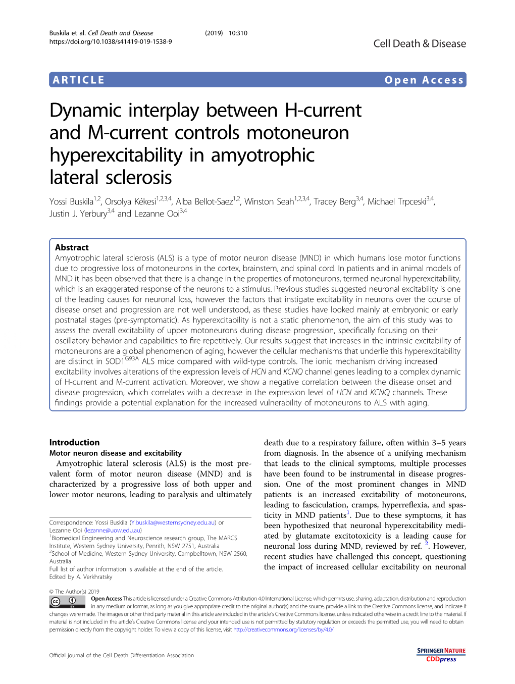 Dynamic Interplay Between H-Current and M-Current Controls Motoneuron