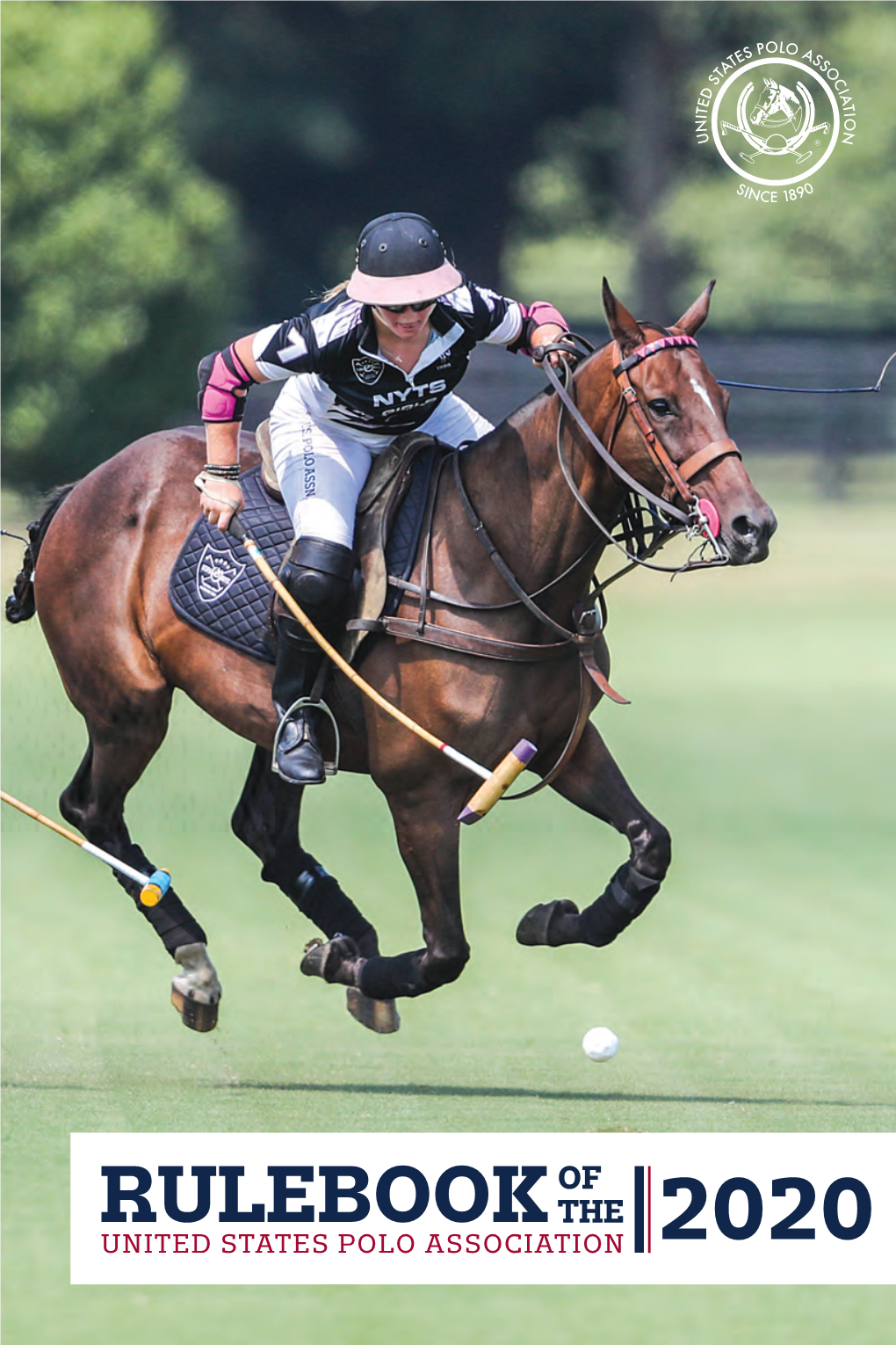 RULEBOOK the UNITED STATES POLO ASSOCIATION 2020 ORGANIZATIONAL DOCUMENTS, RULES, TOURNAMENT CONDITIONS and POLICIES of the UNITED STATES POLO ASSOCIATION® 2020