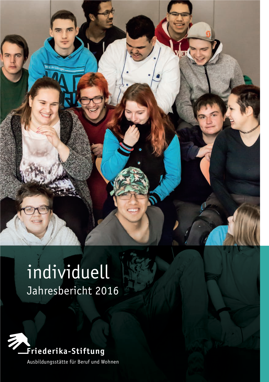 Individuell Jahresbericht 2016