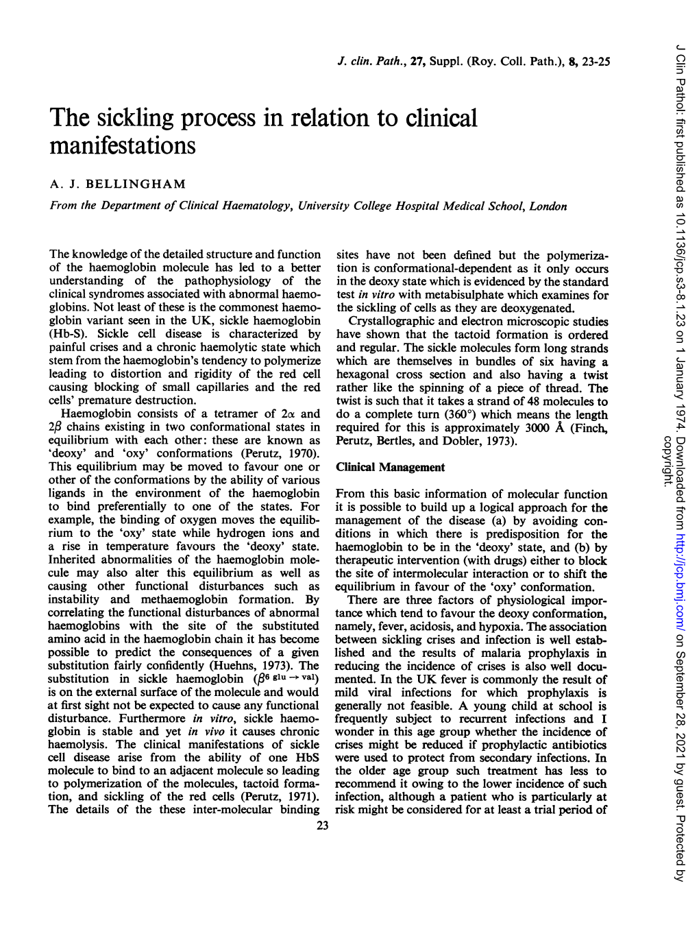 The Sickling Process in Relation to Clinical Manifestations