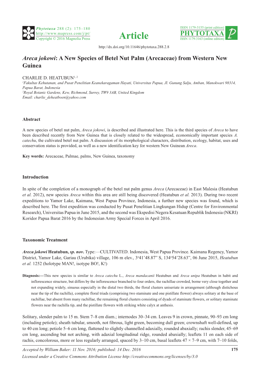 Areca Jokowi: a New Species of Betel Nut Palm (Arecaceae) from Western New Guinea