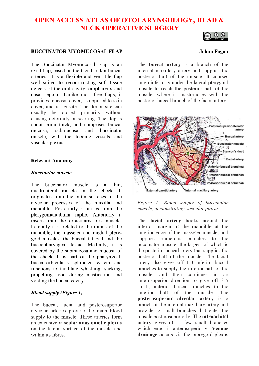 BUCCINATOR MYOMUCOSAL FLAP Johan Fagan