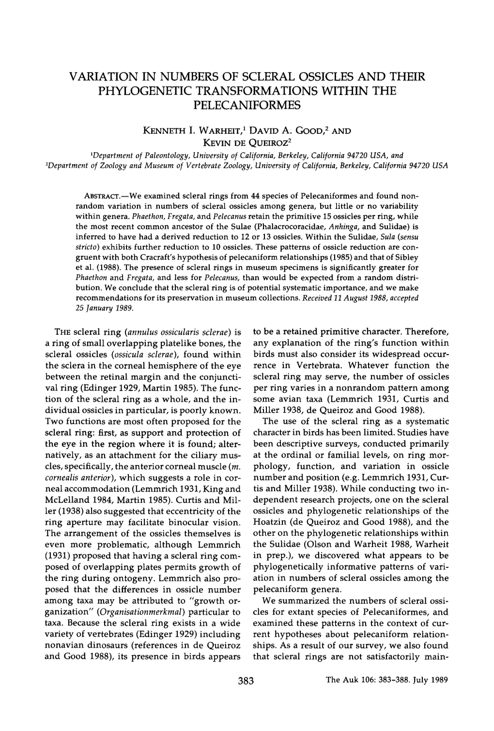 Variation in Numbers of Scleral Ossicles and Their Phylogenetic Transformations Within the Pelecaniformes