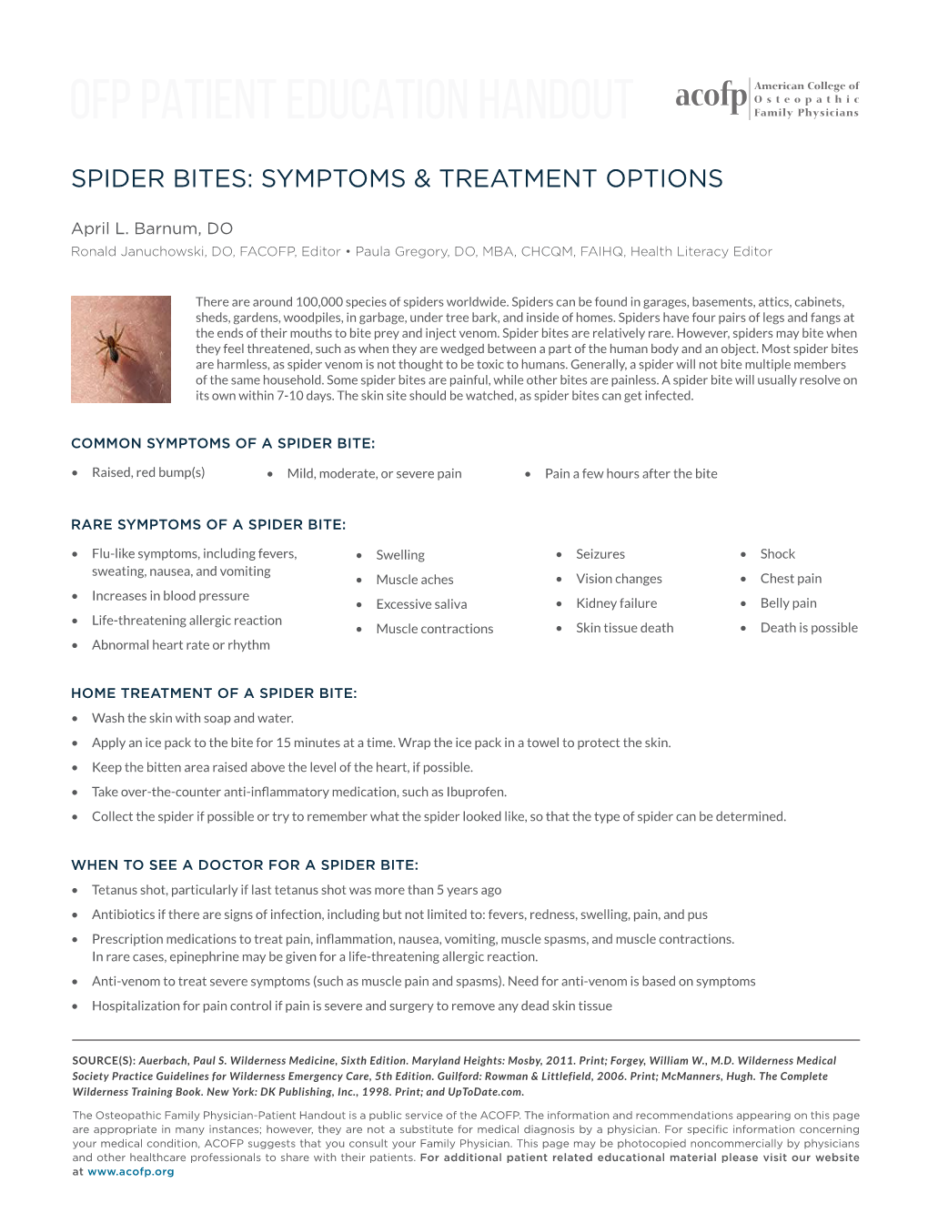 Spider Bites: Symptoms & Treatment Options