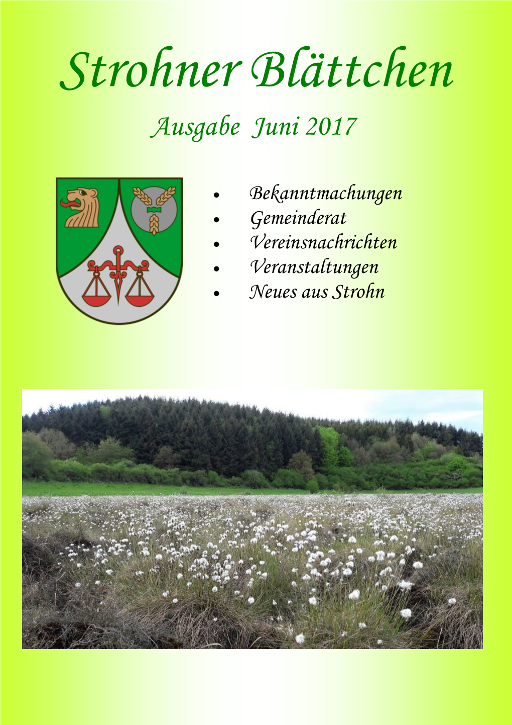 Strohner Blaettchen 06-2017.Pdf