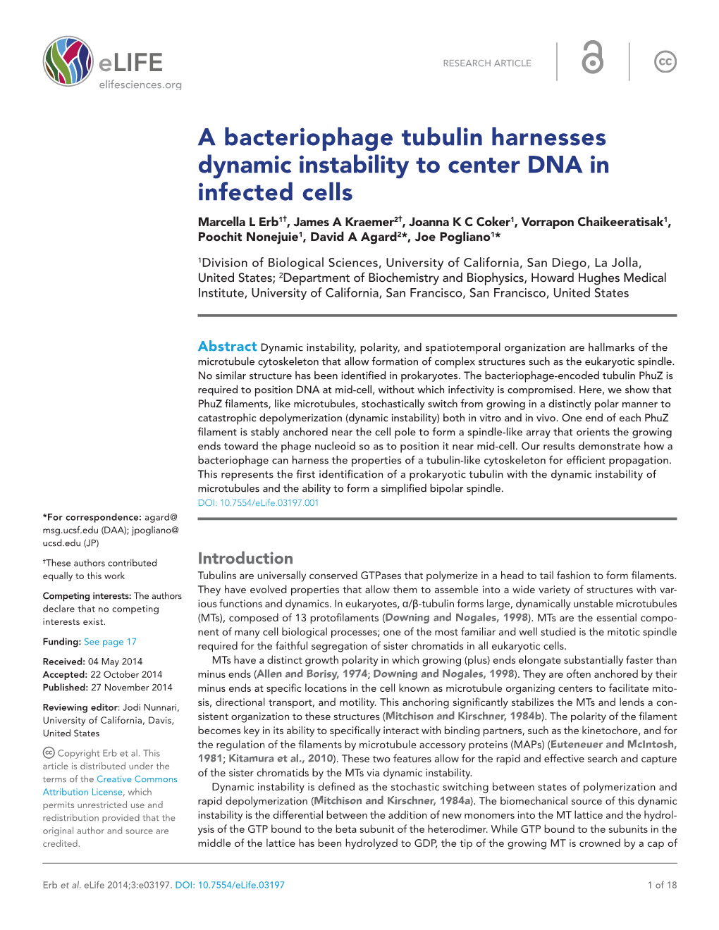 A Bacteriophage Tubulin Harnesses Dynamic Instability to Center DNA In