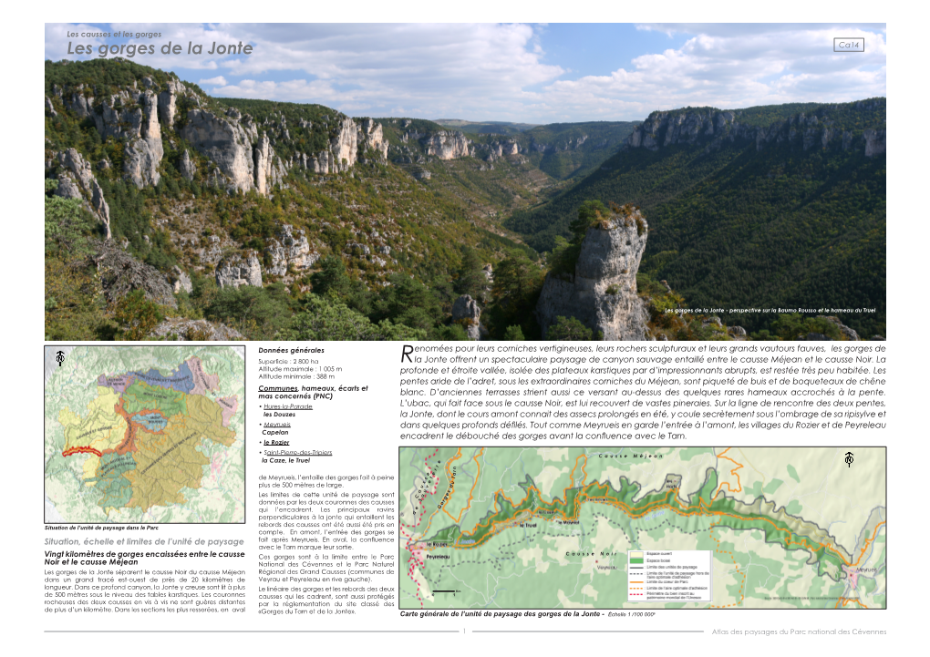 Les Gorges De La Jonte Ca14