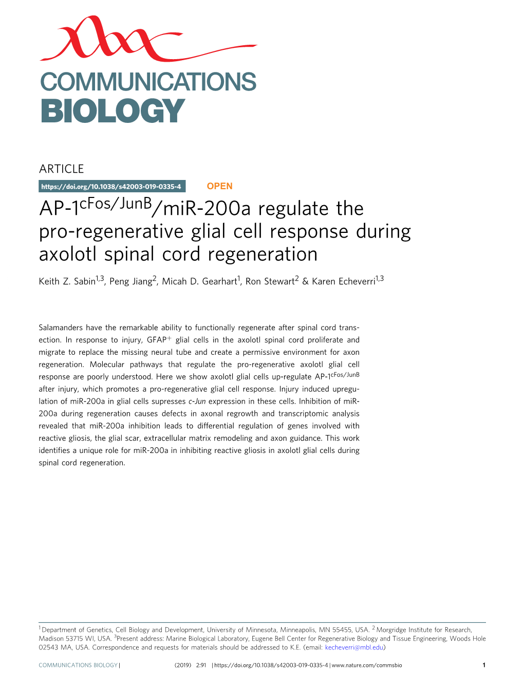 AP-1Cfos/Junb/Mir-200A Regulate the Pro-Regenerative Glial Cell Response During Axolotl Spinal Cord Regeneration