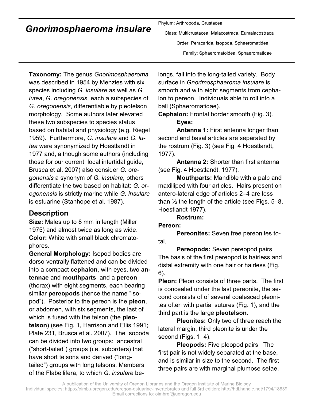 Gnorimosphaeroma Insulare Class: Multicrustacea, Malacostraca, Eumalacostraca